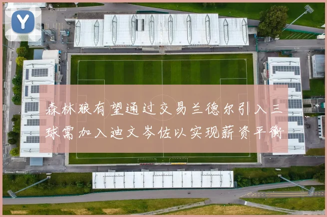 森林狼有望通过交易兰德尔引入三球需加入迪文岑佐以实现薪资平衡