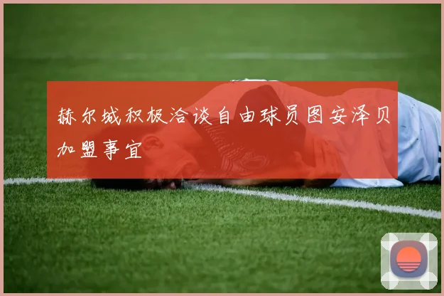 赫尔城积极洽谈自由球员图安泽贝加盟事宜