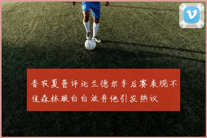香农夏普评论兰德尔季后赛表现不佳森林狼白白放弃他引发热议